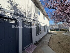 3919 Pheasant Dr in Carson City, NV - Building Photo