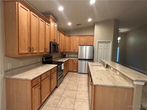 1569 W Caroline Path in Lecanto, FL - Building Photo - Building Photo