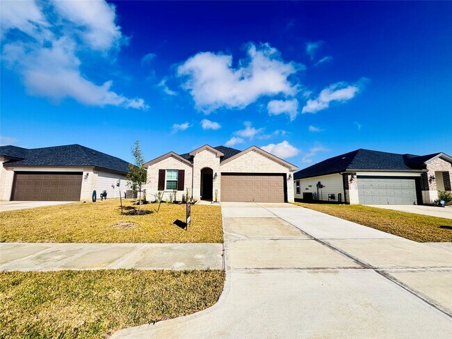 1119 Fringed Bluestar Dr in Rosharon, TX - Building Photo - Building Photo