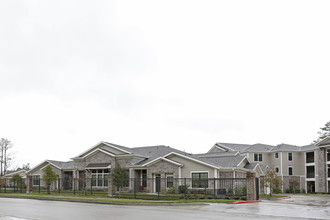 Riverbrook Village - 55+ Active Senior Living in Humble, TX - Building Photo - Building Photo