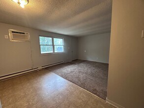 408 W Main St in Westville, IL - Building Photo - Building Photo