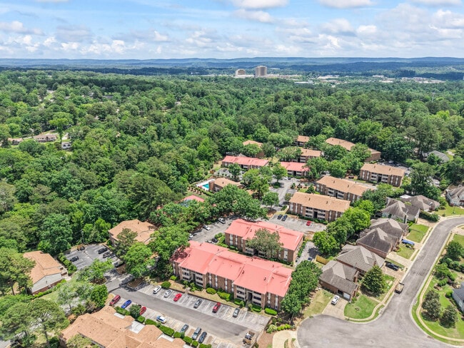 505 Patton Chapel Way in Hoover, AL - Building Photo - Building Photo