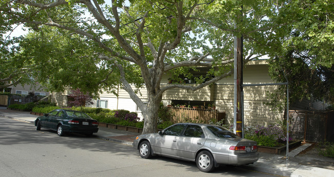 Danville Patio Apartments in Danville, CA - Building Photo - Building Photo