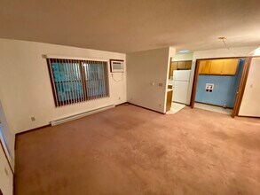 227 Liberty St, Unit 9 in La crosse, WI - Building Photo - Building Photo