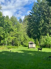 1002 Jessup Rd in Bingen, WA - Building Photo - Building Photo