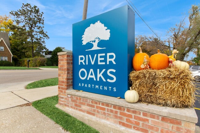 River Oaks in North Aurora, IL - Building Photo - Building Photo