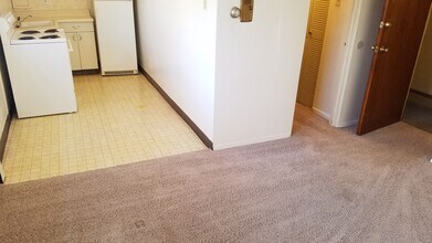 925 S Washington St, Unit 104 in Denver, CO - Building Photo - Building Photo