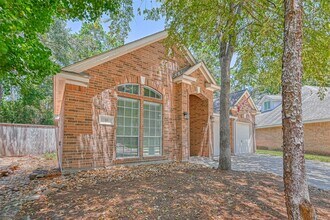38 Tethered Vine Pl in Spring, TX - Building Photo - Building Photo