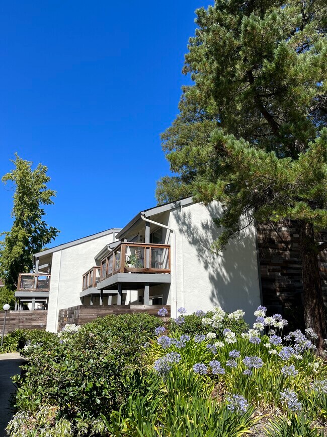 4081 Clayton Rd Rentals in Concord, CA