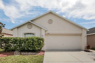 1045 Brenton Leaf Dr in Ruskin, FL - Building Photo