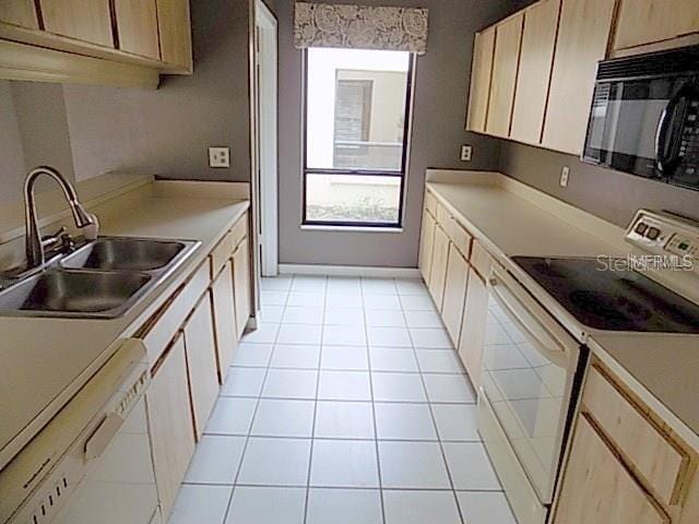 1413 Star Jasmine Ln in Brandon, FL - Building Photo - Building Photo