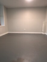 1101 W 16th St in Chicago, IL - Building Photo