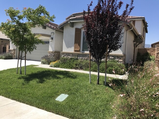 15342 Parsley Leaf Pl in Fontana, CA - Building Photo - Building Photo