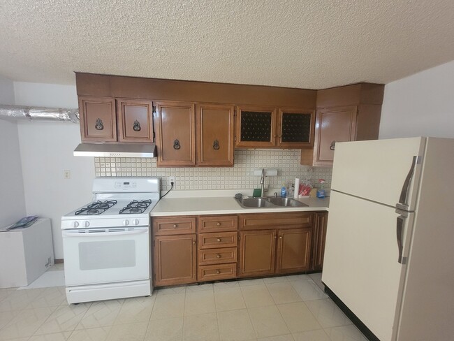 309 W 24th Pl in Chicago, IL - Building Photo - Building Photo