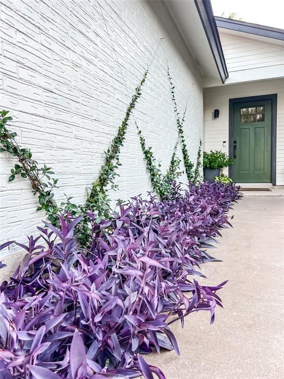 property at 9908 Brasher Dr