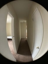 307 W 8th St in Bethlehem, PA - Building Photo - Building Photo