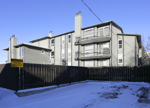 205 5th Ave NE in Calgary, AB - Building Photo - Building Photo