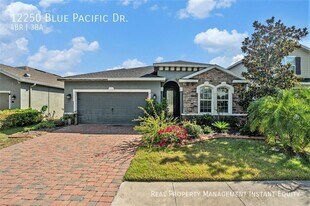 12250 Blue Pacific Dr in Riverview, FL - Building Photo