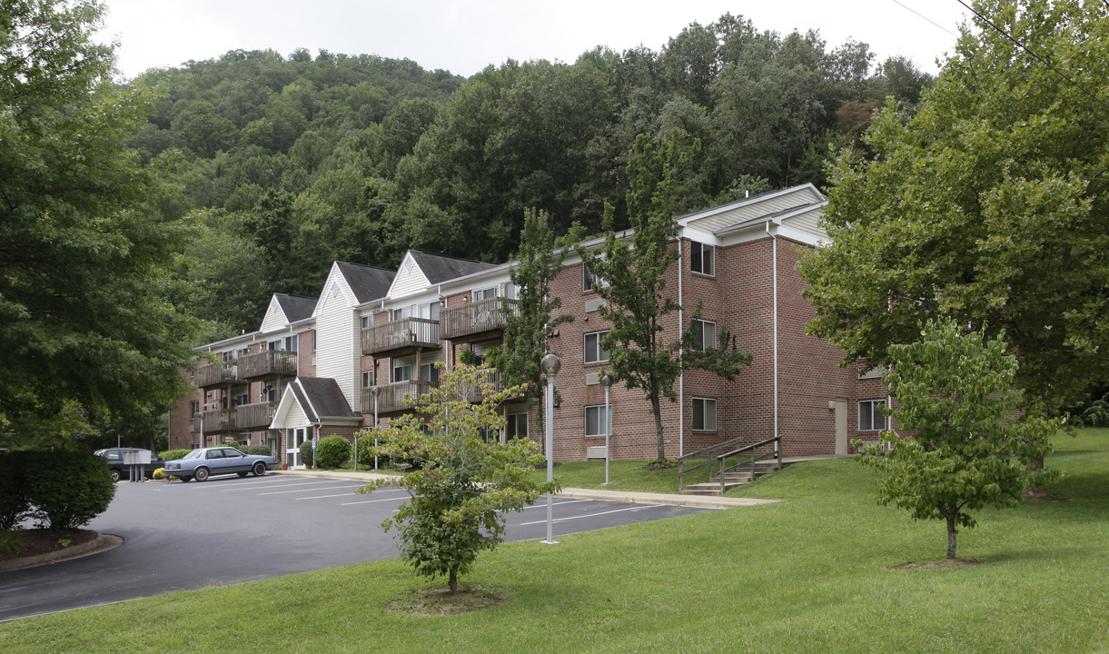 Woods Landing Apartments in Damascus, VA - Building Photo