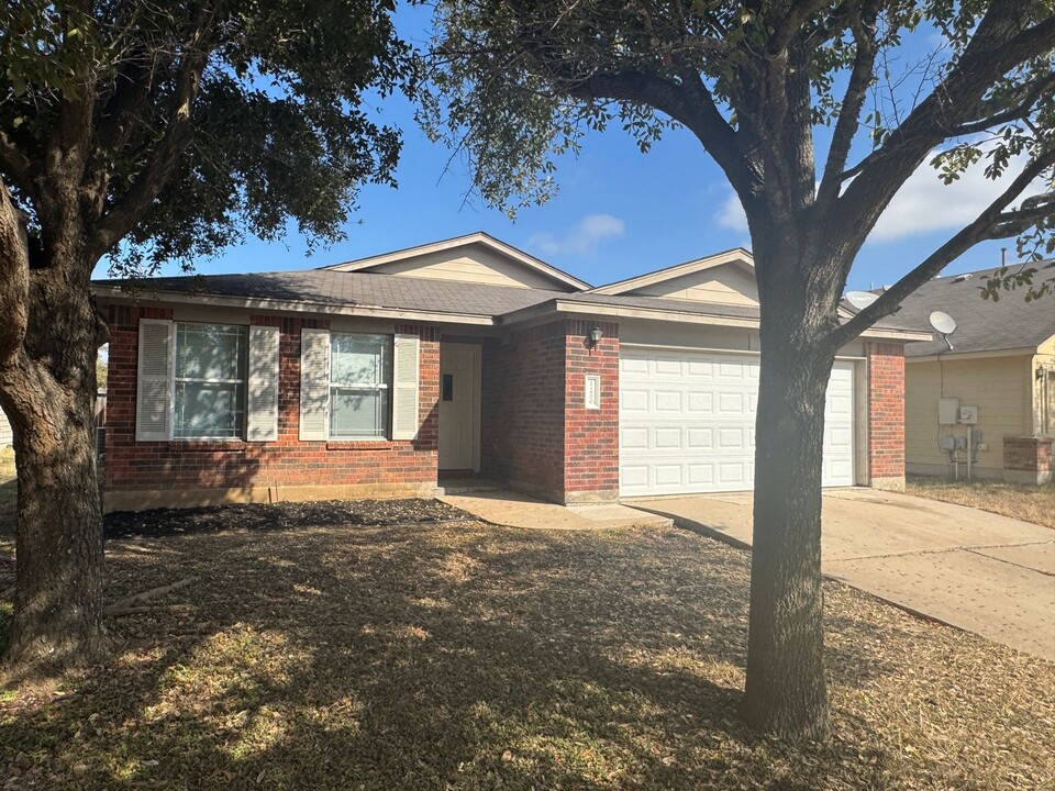 17800 Prairie Verbena Ln in Elgin, TX - Building Photo