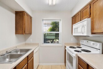 8703 Schick Rd in Austin, TX - Building Photo - Building Photo