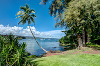 355 Kalanianaole St photo'