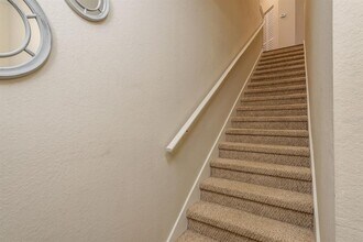 2141 Portofino Pl in Palm Harbor, FL - Building Photo - Building Photo