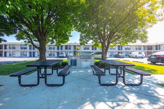 The Ascent1555 - All Utilities Incl. in Lexington, KY - Foto de edificio - Building Photo