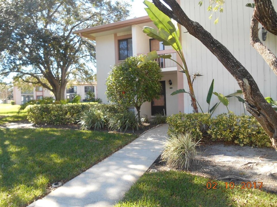 131 Lakeview Way in Oldsmar, FL - Building Photo