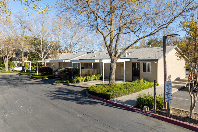 Olympic Cottages in Davis, CA - Building Photo - Primary Photo