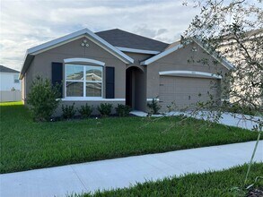 17031 Avon Dive Ln in Wimauma, FL - Building Photo - Building Photo