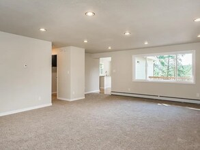 28779 Pine Trail in Conifer, CO - Building Photo - Building Photo