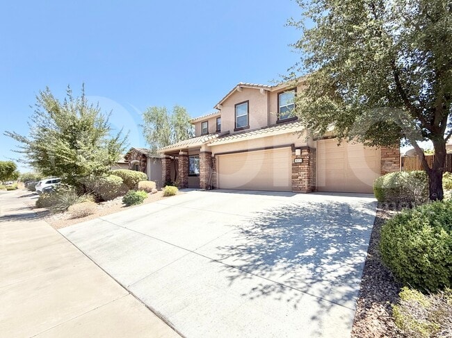 4371 W Maggie Dr in Queen Creek, AZ - Building Photo - Building Photo