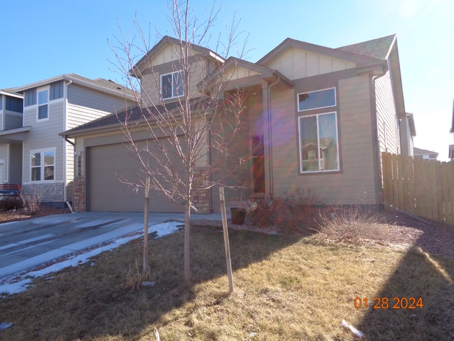 10919 Zealand Dr in Colorado Springs, CO - Building Photo - Building Photo