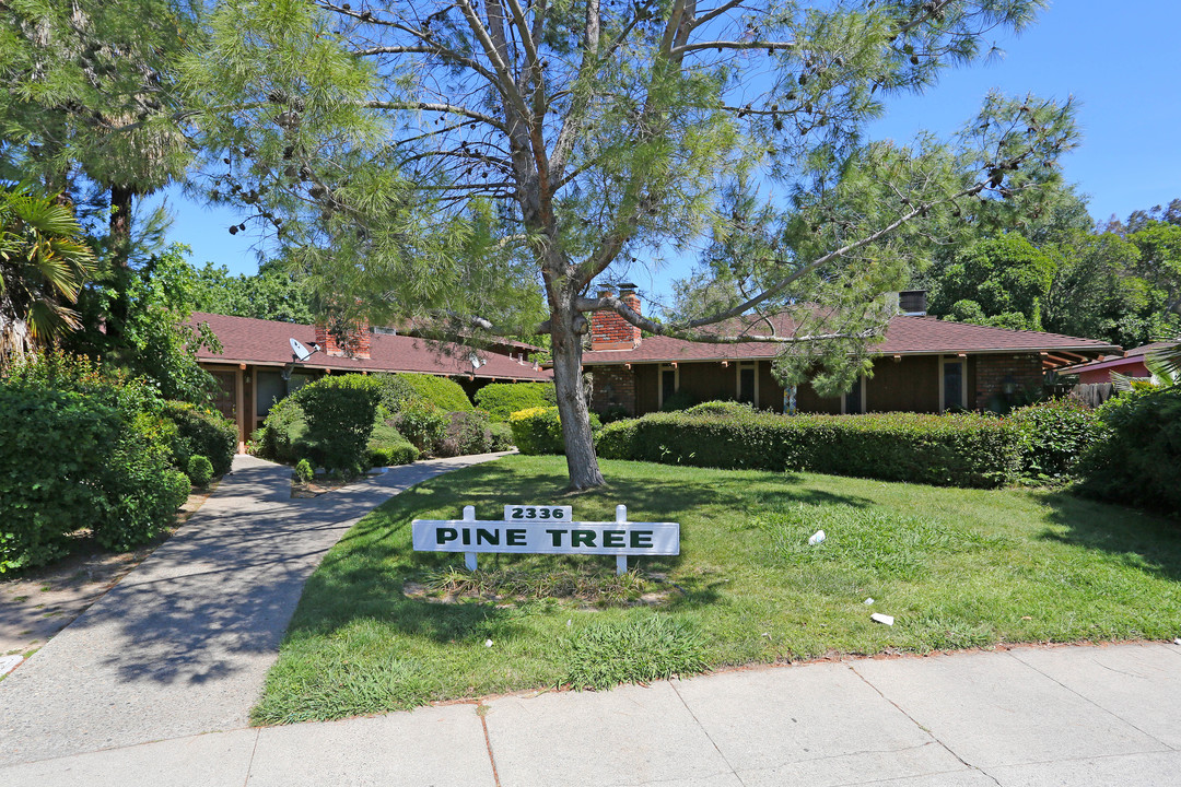 Pine Tree in Sacramento, CA - Building Photo