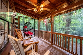 159 Pack Creek Rd in Blue Ridge, GA - Building Photo - Building Photo