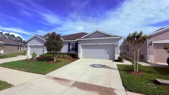10567 Heron Hideaway Lp in Land O Lakes, FL - Building Photo