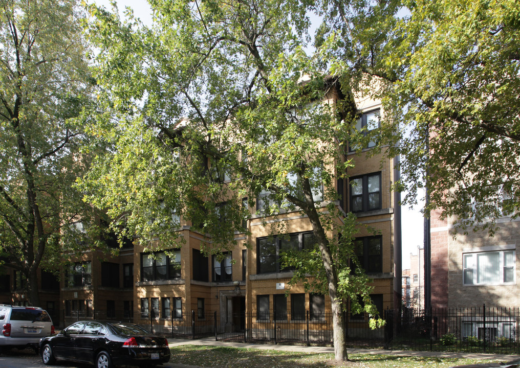 Kenwood Apartments - S Ellis Ave in Chicago, IL - Building Photo