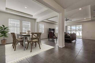 3624 Autumn Amber Dr in Spring Hill, FL - Building Photo - Building Photo
