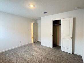 31114 Royal Acres Ct in Fulshear, TX - Building Photo - Building Photo