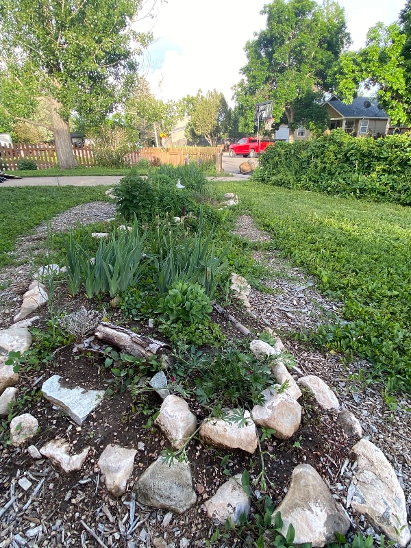 2524 W Plum St in Fort Collins, CO - Building Photo - Building Photo