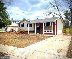 11 Windflower Dr in Newark, DE - Building Photo