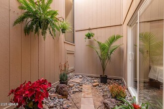 20 E Redondo Dr in Tempe, AZ - Building Photo - Building Photo