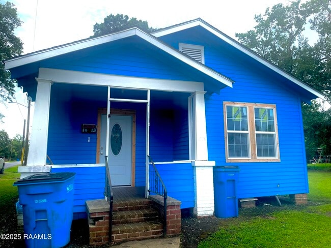 property at 1013 Iberia St