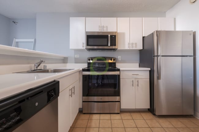 454 E Ohio St in Chicago, IL - Building Photo - Building Photo