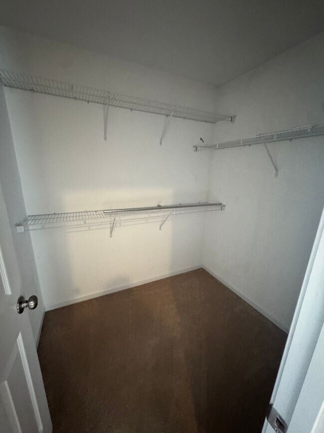 3558 Calpella Ct in Charlotte, NC - Building Photo - Building Photo