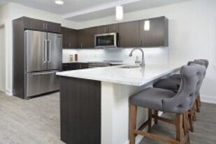 20 Penniman Rd, Unit #101 in Boston, MA - Building Photo