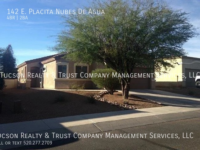 property at 142 E Placita Nubes De Agua
