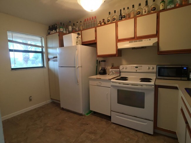 3375 Jaywood Terrace in Boca Raton, FL - Building Photo - Building Photo