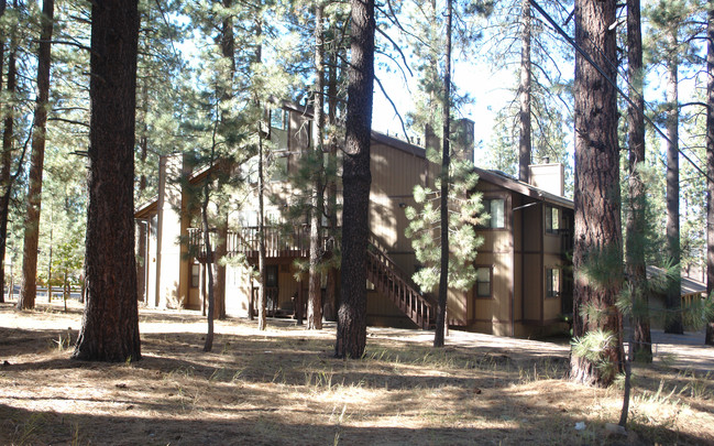 667 Summit Blvd in Big Bear Lake, CA - Building Photo - Building Photo